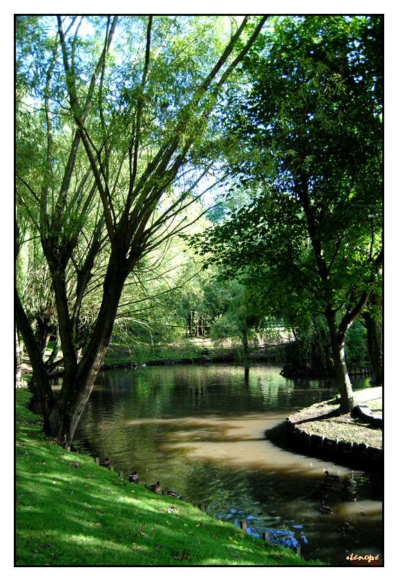 Le Parc Du Lion Wattrelos 002 Le Parc Du Lion Wattrelos 002