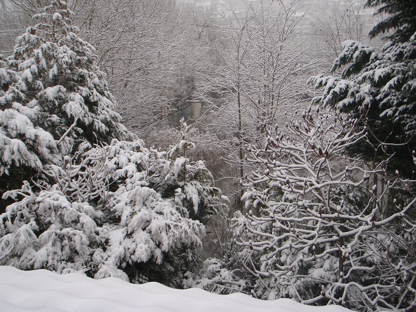 Feb 18 flood and snow 3 Feb 18 flood and snow 3