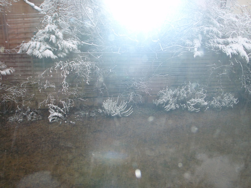 Feb 18 flood and snow 1 Feb 18 flood and snow 1