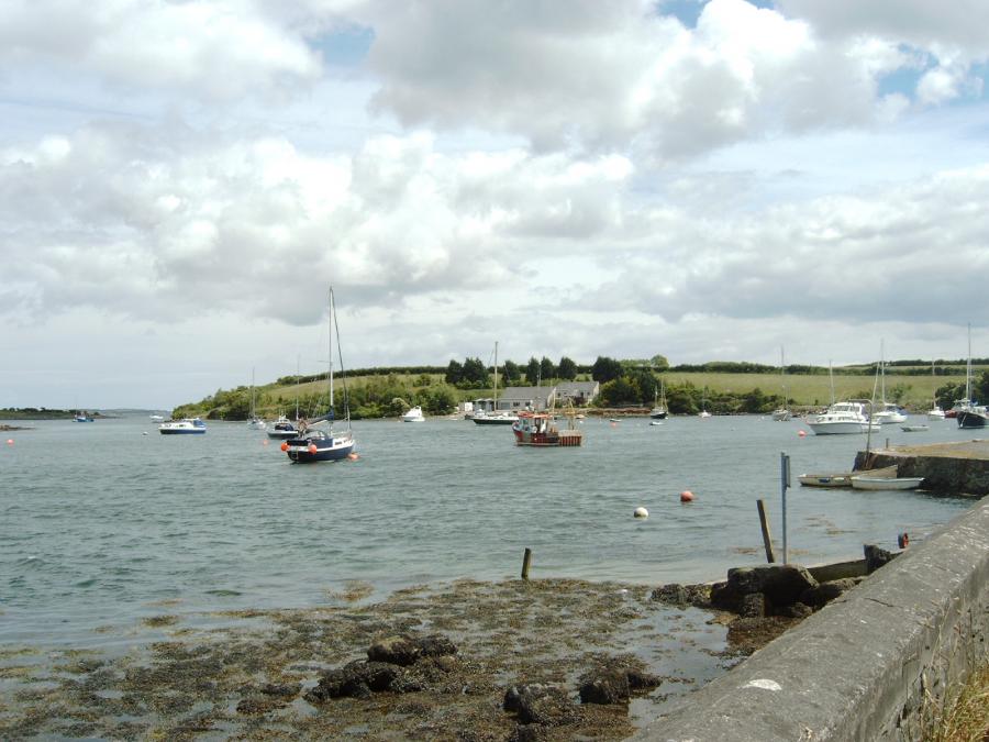 Home waters Strangford Lough - Sketrick Island Home waters Strangford Lough - Sketrick Island